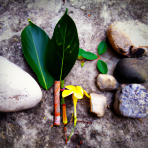 Suggestion: An arrangement of natural elements such as flowers, leaves, rocks, and twigs.